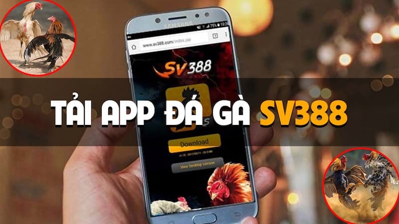 App SV388 luôn cập nhật liên tục các chương trình khuyến mãi mới và đa dạng